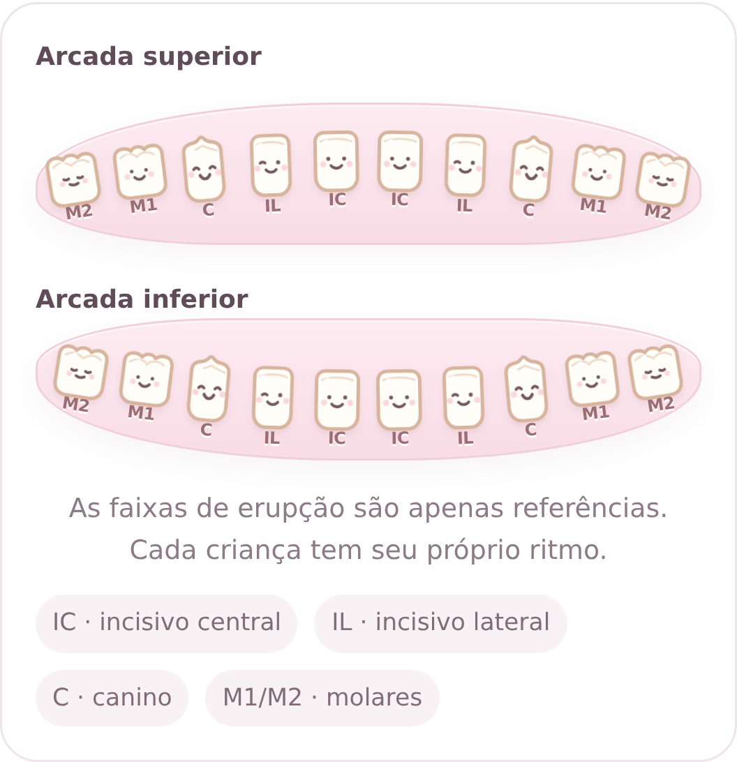 Mapa original dos 20 dentes de leite no PAPÁ NENÊ